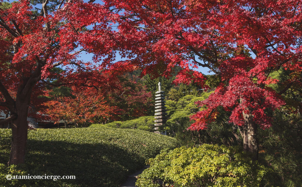 MOA美術館茶の庭の紅葉