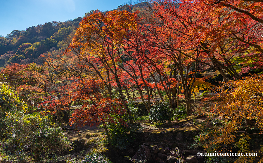 梅園もみじまつりの風景