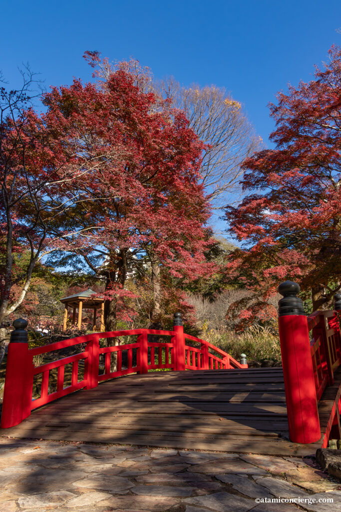 梅園のもみじ（橋付近）