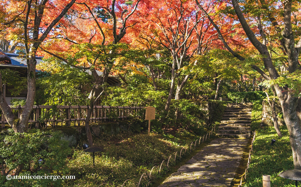 MOA美術館の紅葉